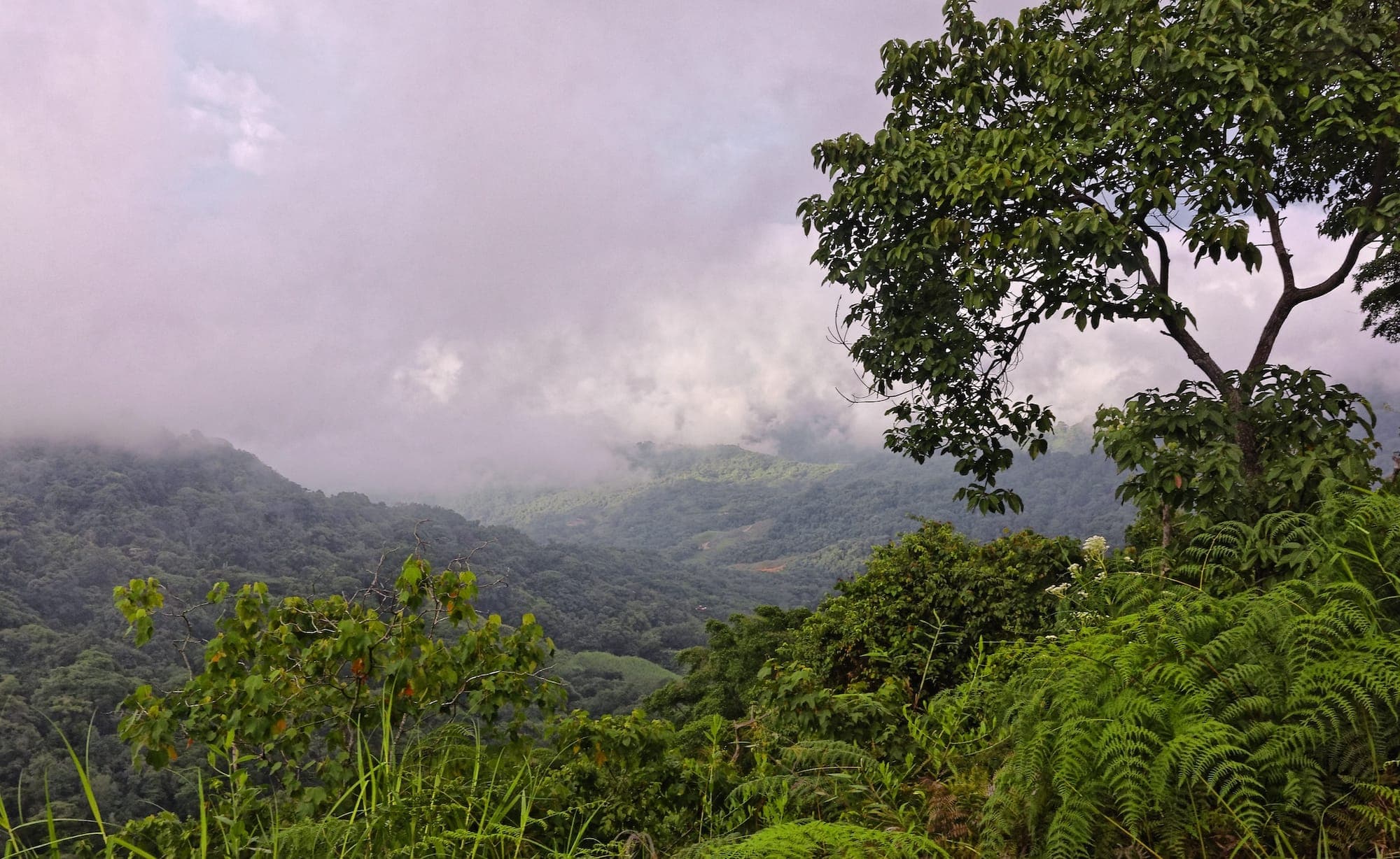 Národní park Wilpattu